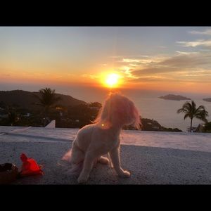 Meet your Posher, Matthew